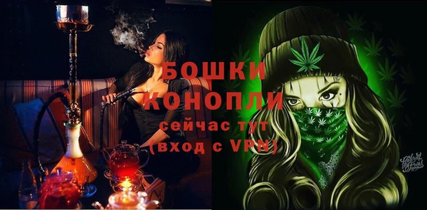 молекула духа Михайловск