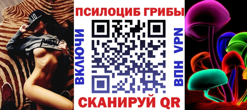 Псилоцибиновые грибы Psilocybe  даркнет сайт  Кисловодск 